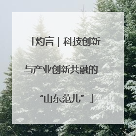 灼言｜科技创新与产业创新共融的“山东范儿”