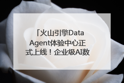 火山引擎Data Agent体验中心正式上线！企业级AI数据专家触手可及