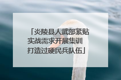 炎陵县人武部紧贴实战需求开展集训 打造过硬民兵队伍