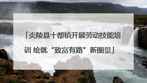 炎陵县十都镇开展劳动技能培训 绘就“致富有路”新图景
