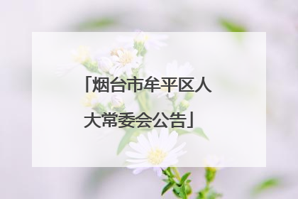 烟台市牟平区人大常委会公告