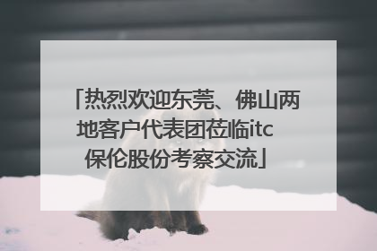 热烈欢迎东莞、佛山两地客户代表团莅临itc保伦股份考察交流