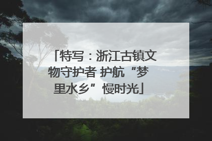 特写：浙江古镇文物守护者 护航“梦里水乡”慢时光