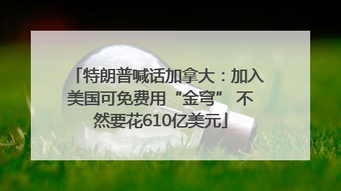 特朗普喊话加拿大：加入美国可免费用“金穹” 不然要花610亿美元