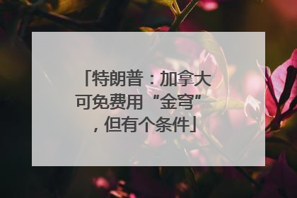 特朗普：加拿大可免费用“金穹”，但有个条件