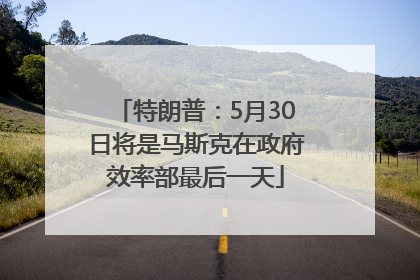 特朗普：5月30日将是马斯克在政府效率部最后一天
