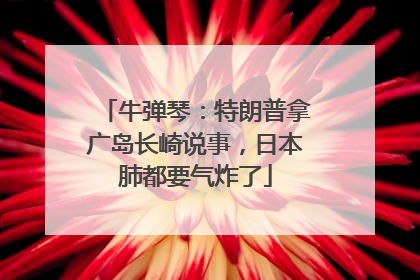 牛弹琴：特朗普拿广岛长崎说事，日本肺都要气炸了