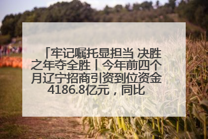 牢记嘱托显担当 决胜之年夺全胜丨今年前四个月辽宁招商引资到位资金4186.8亿元，同比增长17.4%
