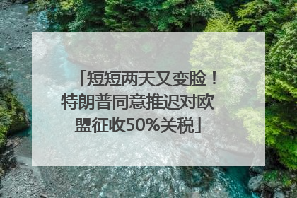 短短两天又变脸！特朗普同意推迟对欧盟征收50%关税