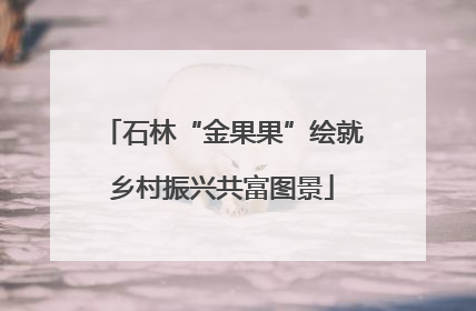 石林“金果果”绘就乡村振兴共富图景