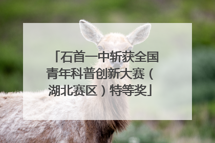 石首一中斩获全国青年科普创新大赛（湖北赛区）特等奖