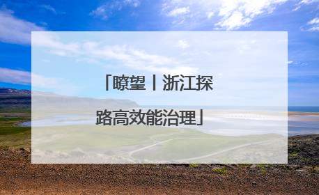 瞭望丨浙江探路高效能治理