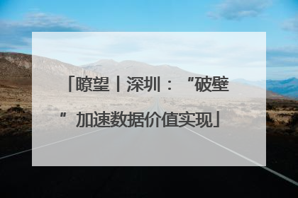 瞭望丨深圳：“破壁”加速数据价值实现
