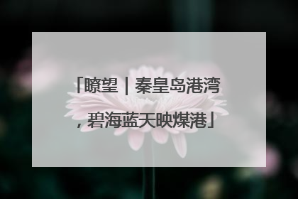 瞭望｜秦皇岛港湾，碧海蓝天映煤港