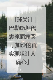 球关注｜巴勒斯坦代表掩面痛哭，加沙的真实现状让人痛心