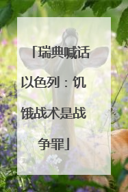 瑞典喊话以色列：饥饿战术是战争罪