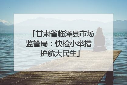 甘肃省临泽县市场监管局：快检小举措 护航大民生