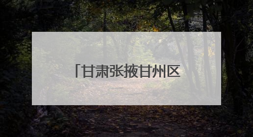 甘肃张掖甘州区：见证玉米制种的“无限可能”