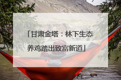 甘肃金塔：林下生态养鸡踏出致富新道