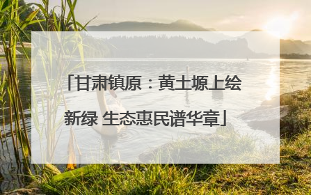 甘肃镇原：黄土塬上绘新绿 生态惠民谱华章