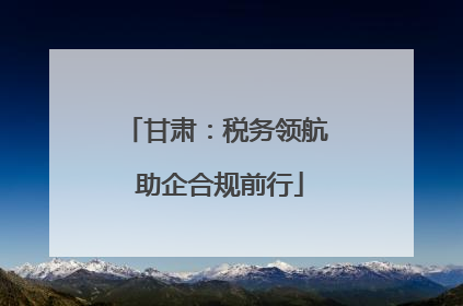 甘肃：税务领航 助企合规前行