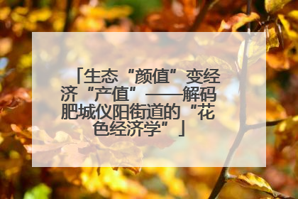 生态“颜值”变经济“产值”——解码肥城仪阳街道的“花色经济学”