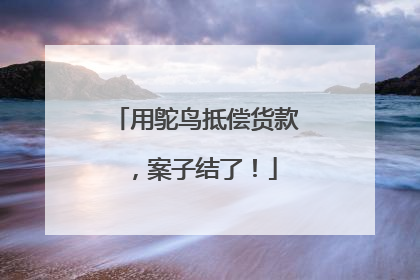用鸵鸟抵偿货款，案子结了！