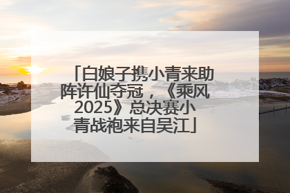白娘子携小青来助阵许仙夺冠，《乘风2025》总决赛小青战袍来自吴江