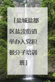 盐城盐都区盐渎街道举办入党积极分子培训班