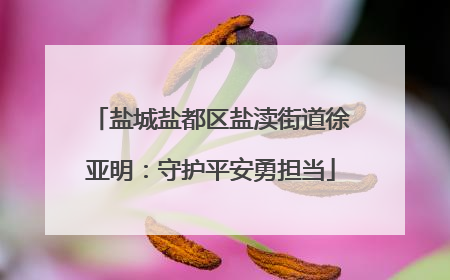 盐城盐都区盐渎街道徐亚明：守护平安勇担当
