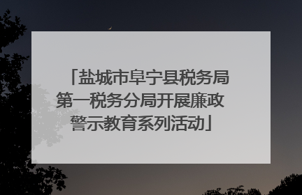 盐城市阜宁县税务局第一税务分局开展廉政警示教育系列活动