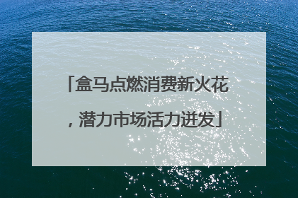 盒马点燃消费新火花，潜力市场活力迸发