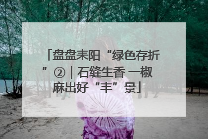 盘盘耒阳“绿色存折”②｜石缝生香 一椒麻出好“丰”景