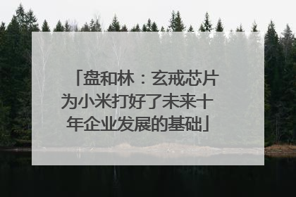 盘和林：玄戒芯片为小米打好了未来十年企业发展的基础