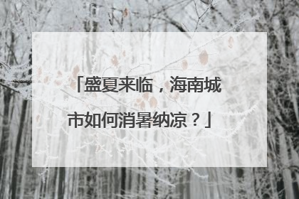 盛夏来临，海南城市如何消暑纳凉？