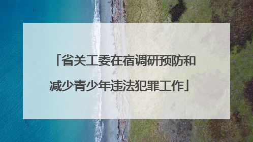 省关工委在宿调研预防和减少青少年违法犯罪工作