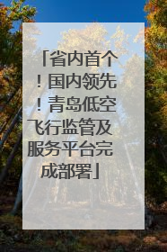 省内首个！国内领先！青岛低空飞行监管及服务平台完成部署