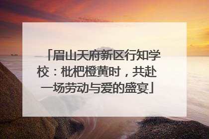 眉山天府新区行知学校：枇杷橙黄时，共赴一场劳动与爱的盛宴