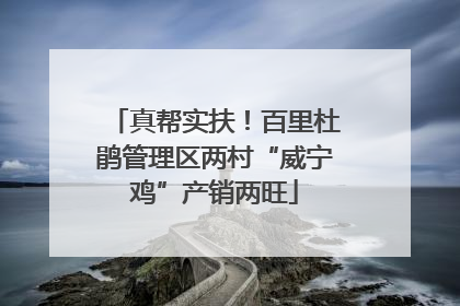 真帮实扶！百里杜鹃管理区两村“威宁鸡”产销两旺