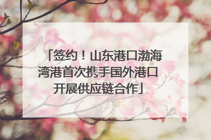 签约！山东港口渤海湾港首次携手国外港口开展供应链合作