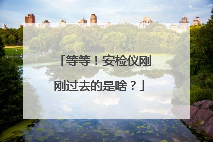 等等！安检仪刚刚过去的是啥？