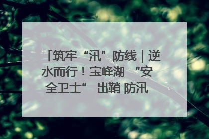 筑牢“汛”防线｜逆水而行！宝峰湖 “安全卫士” 出鞘 防汛应急再添硬核力量