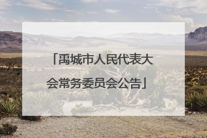禹城市人民代表大会常务委员会公告