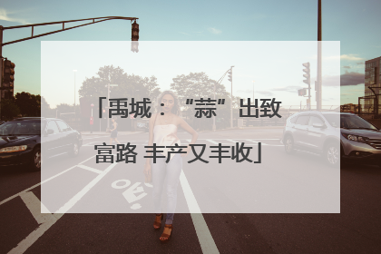禹城：“蒜”出致富路 丰产又丰收