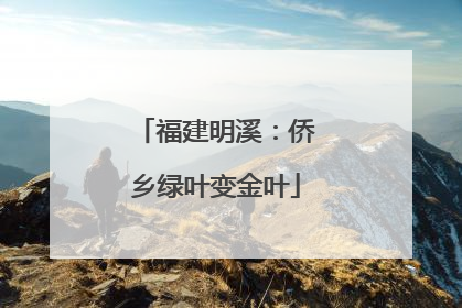福建明溪：侨乡绿叶变金叶