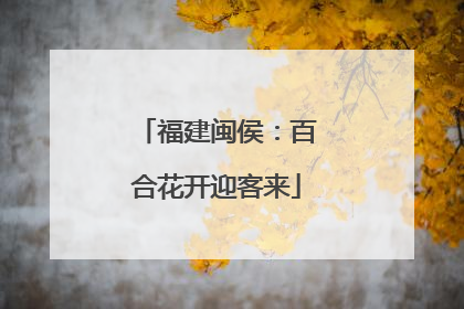 福建闽侯：百合花开迎客来