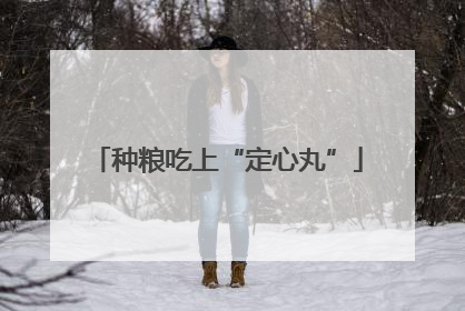 种粮吃上“定心丸”