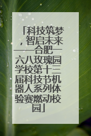 科技筑梦，智启未来——合肥一六八玫瑰园学校第十三届科技节机器人系列体验赛燃动校园