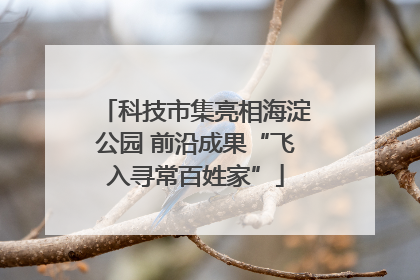 科技市集亮相海淀公园 前沿成果“飞入寻常百姓家”