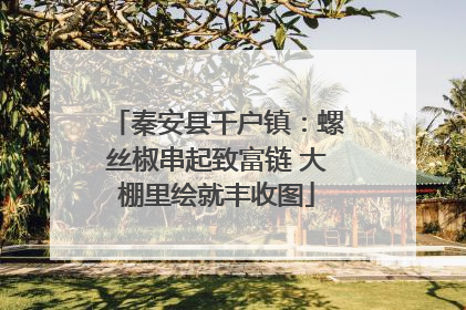 秦安县千户镇：螺丝椒串起致富链 大棚里绘就丰收图